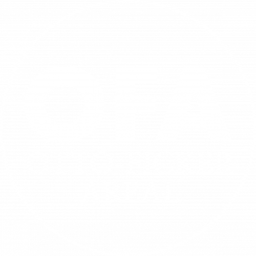 ofa-logo_1_kreis_weiss_retina